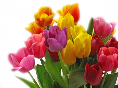 Herzlichen Glückwunsch Foto : RainerSturm  / pixelio.de 